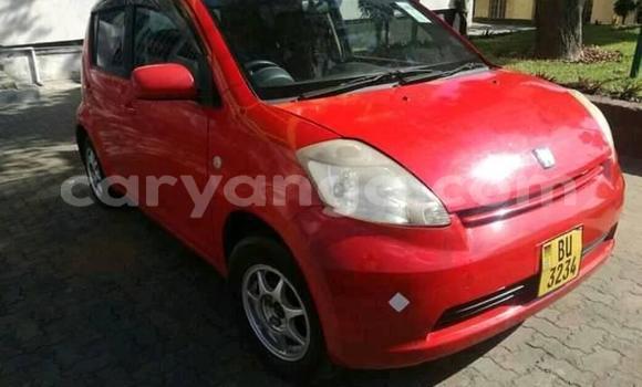 Buy Used Toyota Passo Sette Red Car in Blantyre in Malawi Buy Used Toyota Passo Sette Red Car in Blantyre in Malawi