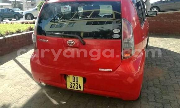 Buy Used Toyota Passo Sette Red Car in Blantyre in Malawi Buy Used Toyota Passo Sette Red Car in Blantyre in Malawi