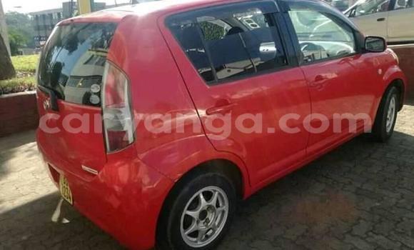 Buy Used Toyota Passo Sette Red Car in Blantyre in Malawi Buy Used Toyota Passo Sette Red Car in Blantyre in Malawi