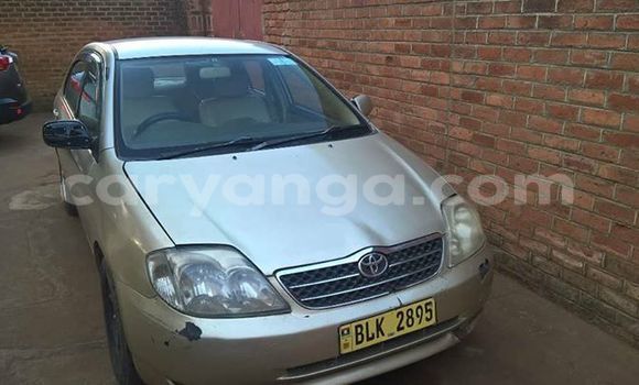Buy Used Toyota Corolla Silver Car in Blantyre in Malawi Buy Used Toyota Corolla Silver Car in Blantyre in Malawi
