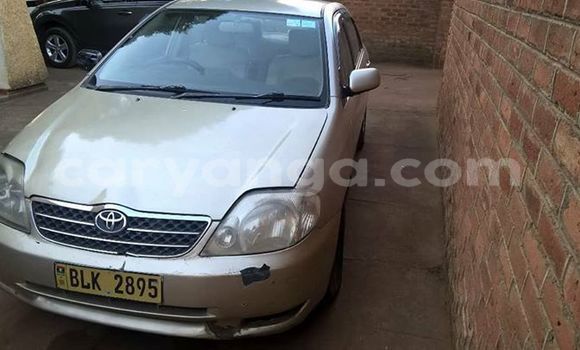 Buy Used Toyota Corolla Silver Car in Blantyre in Malawi Buy Used Toyota Corolla Silver Car in Blantyre in Malawi
