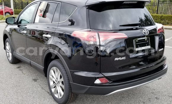 Buy Used Toyota RAV4 Black Car in Chilumba in Karonga Buy Used Toyota RAV4 Black Car in Chilumba in Karonga