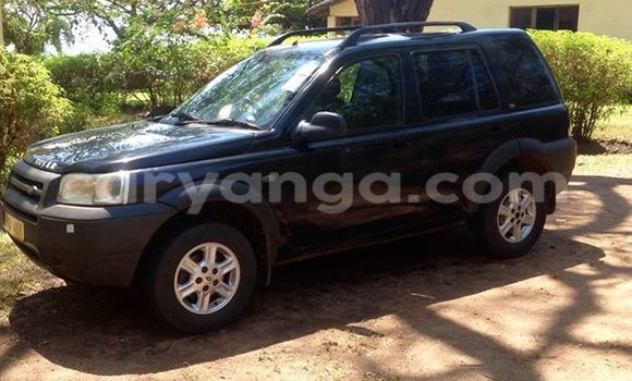 Buy Used Land Rover Freelander Black Car in Limbe in Malawi