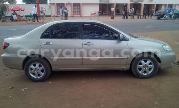 Buy Used Toyota Corolla Other Car in Limbe in Malawi Buy Used Toyota Corolla Other Car in Limbe in Malawi