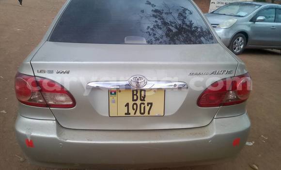 Buy Used Toyota Corolla Other Car in Limbe in Malawi Buy Used Toyota Corolla Other Car in Limbe in Malawi