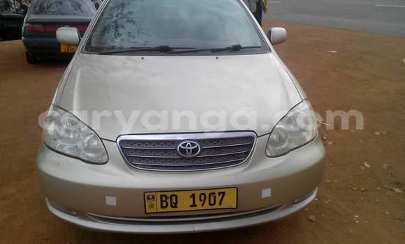 Buy Used Toyota Corolla Other Car in Limbe in Malawi
