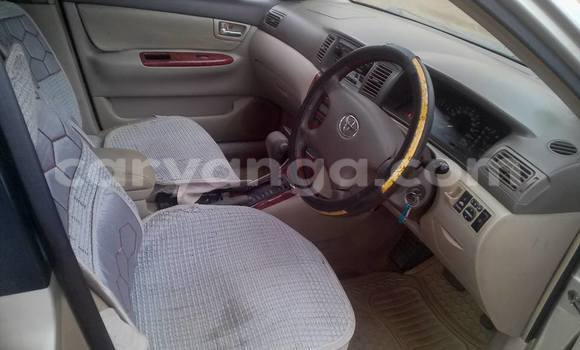 Buy Used Toyota Corolla Other Car in Limbe in Malawi Buy Used Toyota Corolla Other Car in Limbe in Malawi