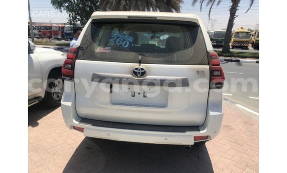 Acheter Import Voiture Toyota Prado Blanc à Import - Dubai, Malawi Acheter Import Voiture Toyota Prado Blanc à Import - Dubai, Malawi