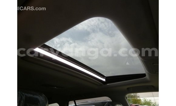 Buy Import Toyota Land Cruiser Black Car in Import - Dubai in Malawi Buy Import Toyota Land Cruiser Black Car in Import - Dubai in Malawi