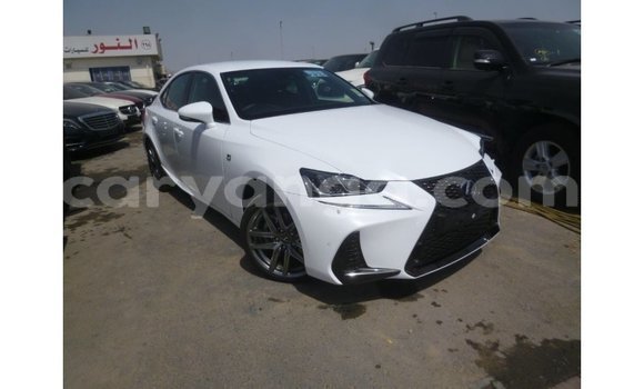 Buy Import Lexus IS White Car in Import - Dubai in Malawi