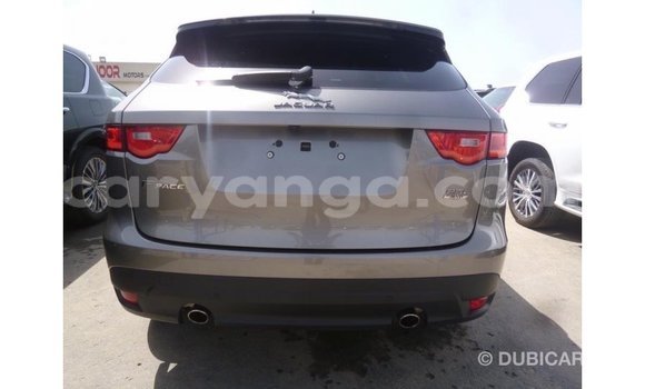 Buy Import Jaguar F-Pace Other Car in Import - Dubai in Malawi Buy Import Jaguar F-Pace Other Car in Import - Dubai in Malawi