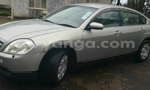 Buy Used Nissan Teana Silver Car in Limbe in Malawi