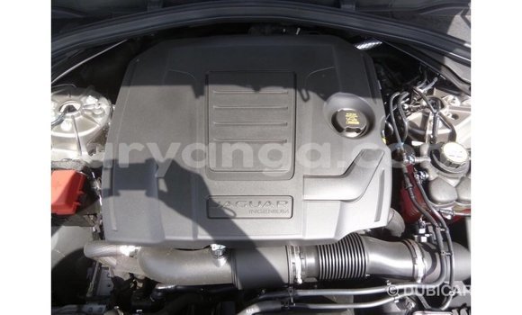 Buy Import Jaguar F-Pace Other Car in Import - Dubai in Malawi Buy Import Jaguar F-Pace Other Car in Import - Dubai in Malawi