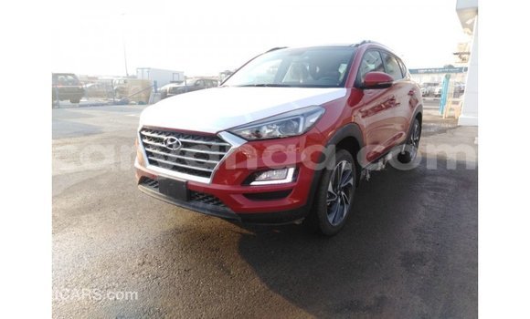 Buy Import Hyundai Tucson Red Car in Import - Dubai in Malawi Buy Import Hyundai Tucson Red Car in Import - Dubai in Malawi