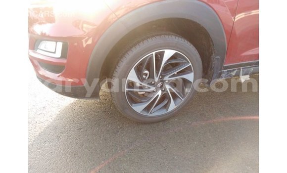 Buy Import Hyundai Tucson Red Car in Import - Dubai in Malawi Buy Import Hyundai Tucson Red Car in Import - Dubai in Malawi