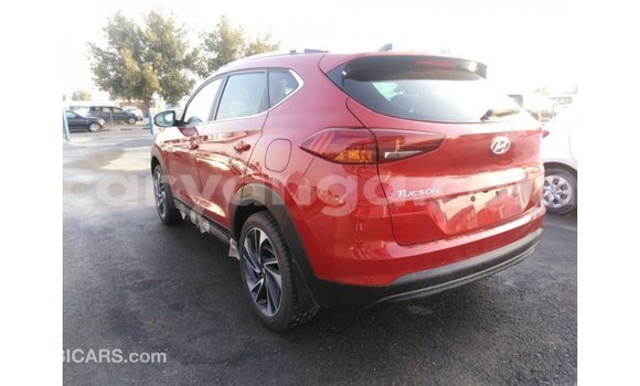Buy Import Hyundai Tucson Red Car in Import - Dubai in Malawi Buy Import Hyundai Tucson Red Car in Import - Dubai in Malawi