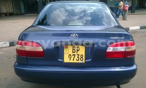 Buy Used Toyota Corolla Blue Car in Limbe in Malawi Buy Used Toyota Corolla Blue Car in Limbe in Malawi