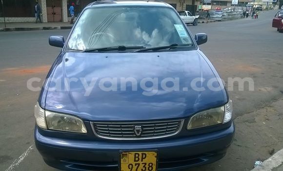 Buy Used Toyota Corolla Blue Car in Limbe in Malawi Buy Used Toyota Corolla Blue Car in Limbe in Malawi