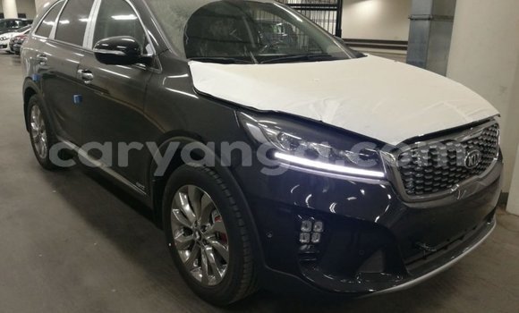 Buy Import Kia Sorento Brown Car in Import - Dubai in Malawi Buy Import Kia Sorento Brown Car in Import - Dubai in Malawi