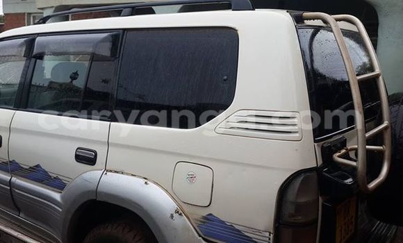 Buy Used Toyota Prado White Car in Limbe in Malawi Buy Used Toyota Prado White Car in Limbe in Malawi