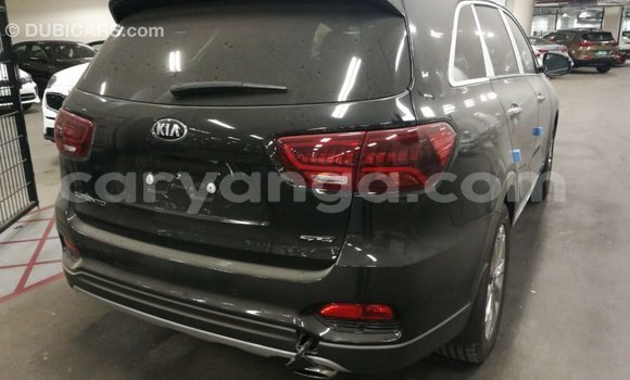 Buy Import Kia Sorento Brown Car in Import - Dubai in Malawi Buy Import Kia Sorento Brown Car in Import - Dubai in Malawi