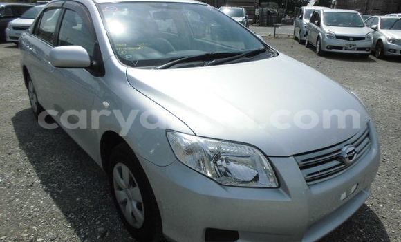 Buy Used Toyota Axio Silver Car in Lilongwe in Malawi