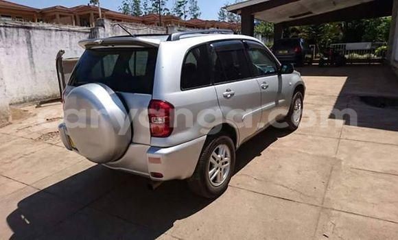 Buy Used Toyota RAV4 Silver Car in Limbe in Malawi Buy Used Toyota RAV4 Silver Car in Limbe in Malawi