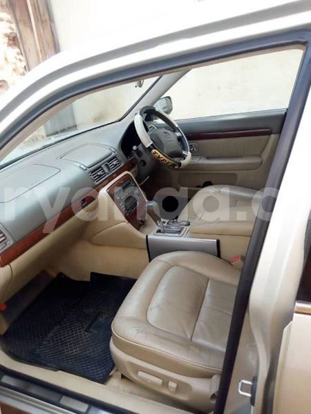 Big with watermark 65363512 144861930022671 7499547300121804800 n