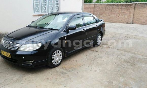 Buy Used Toyota Corolla Black Car in Limbe in Malawi