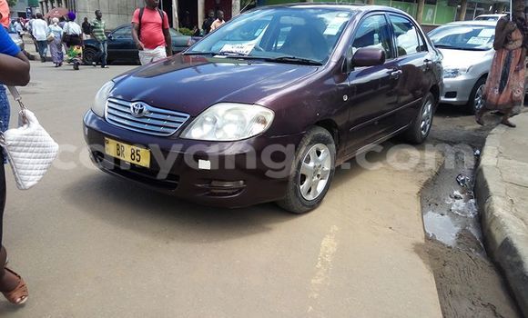 Nunua Ilio tumika Toyota Corolla Other Gari ndani ya Limbe nchini Malawi Nunua Ilio tumika Toyota Corolla Other Gari ndani ya Limbe nchini Malawi