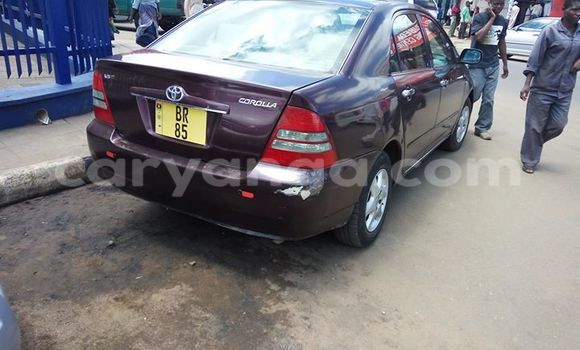 Nunua Ilio tumika Toyota Corolla Other Gari ndani ya Limbe nchini Malawi Nunua Ilio tumika Toyota Corolla Other Gari ndani ya Limbe nchini Malawi