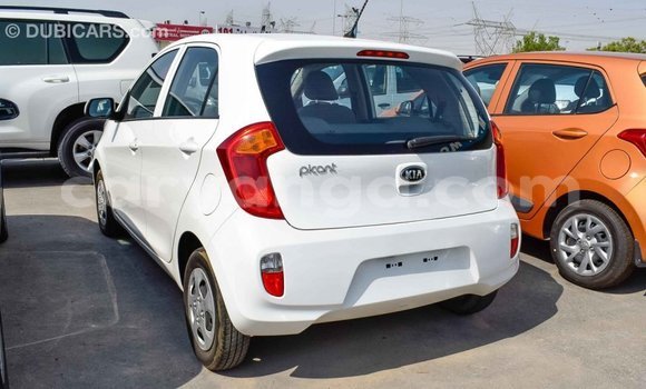 Buy Import Kia Picanto White Car in Import - Dubai in Malawi Buy Import Kia Picanto White Car in Import - Dubai in Malawi