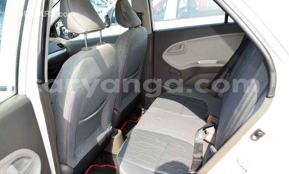 Buy Import Kia Picanto White Car in Import - Dubai in Malawi Buy Import Kia Picanto White Car in Import - Dubai in Malawi