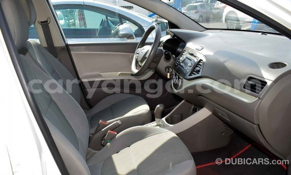 Buy Import Kia Picanto White Car in Import - Dubai in Malawi Buy Import Kia Picanto White Car in Import - Dubai in Malawi