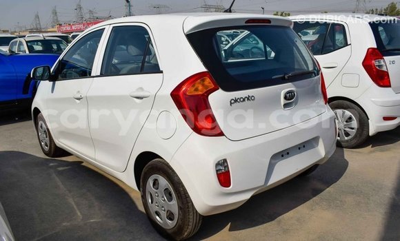 Buy Import Kia Picanto White Car in Import - Dubai in Malawi Buy Import Kia Picanto White Car in Import - Dubai in Malawi