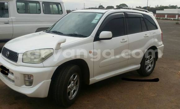 Buy Used Toyota RAV4 White Car in Limbe in Malawi Buy Used Toyota RAV4 White Car in Limbe in Malawi