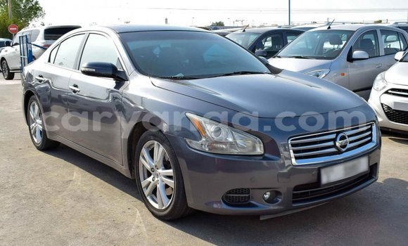 Buy Import Nissan Maxima Other Car in Import - Dubai in Malawi Buy Import Nissan Maxima Other Car in Import - Dubai in Malawi