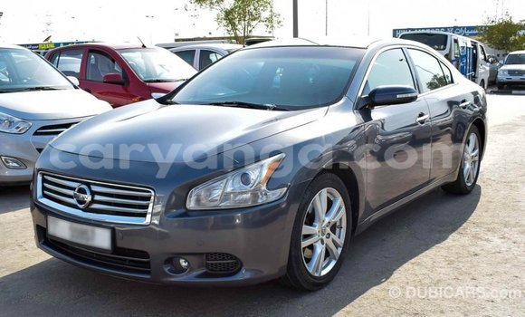 Buy Import Nissan Maxima Other Car in Import - Dubai in Malawi Buy Import Nissan Maxima Other Car in Import - Dubai in Malawi