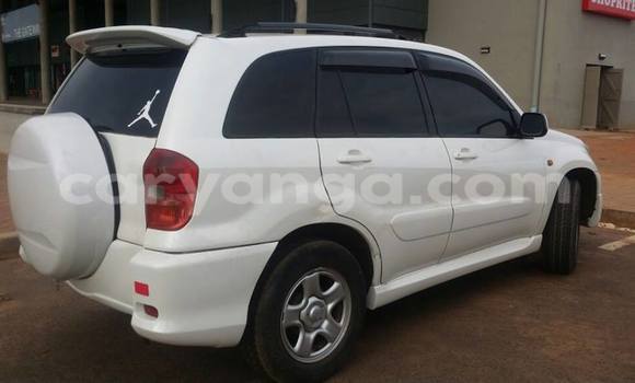 Buy Used Toyota RAV4 White Car in Limbe in Malawi Buy Used Toyota RAV4 White Car in Limbe in Malawi