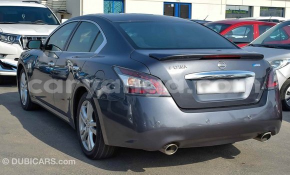 Buy Import Nissan Maxima Other Car in Import - Dubai in Malawi Buy Import Nissan Maxima Other Car in Import - Dubai in Malawi