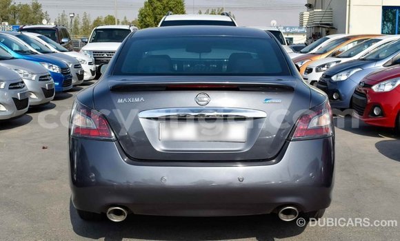 Buy Import Nissan Maxima Other Car in Import - Dubai in Malawi Buy Import Nissan Maxima Other Car in Import - Dubai in Malawi