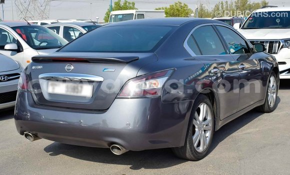 Buy Import Nissan Maxima Other Car in Import - Dubai in Malawi Buy Import Nissan Maxima Other Car in Import - Dubai in Malawi