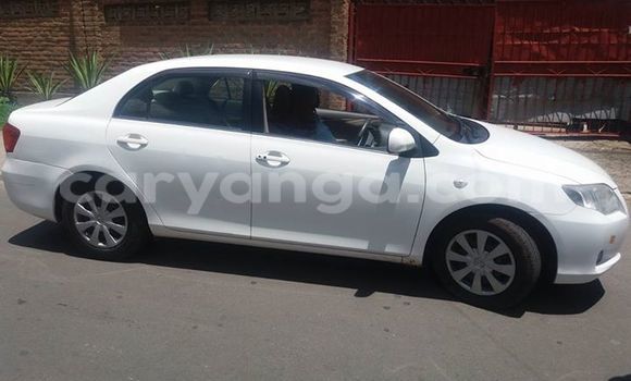 Buy Used Toyota Axio White Car in Limbe in Malawi Buy Used Toyota Axio White Car in Limbe in Malawi