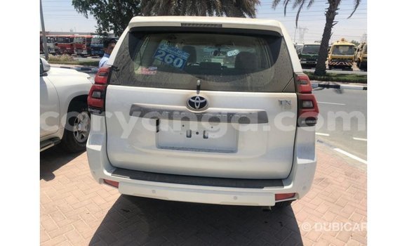 Acheter Import Voiture Toyota Prado Blanc à Import - Dubai, Malawi Acheter Import Voiture Toyota Prado Blanc à Import - Dubai, Malawi