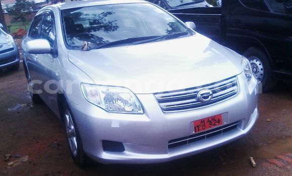 Acheter Occasion Voiture Toyota Axio Gris à Limbe, Malawi Acheter Occasion Voiture Toyota Axio Gris à Limbe, Malawi