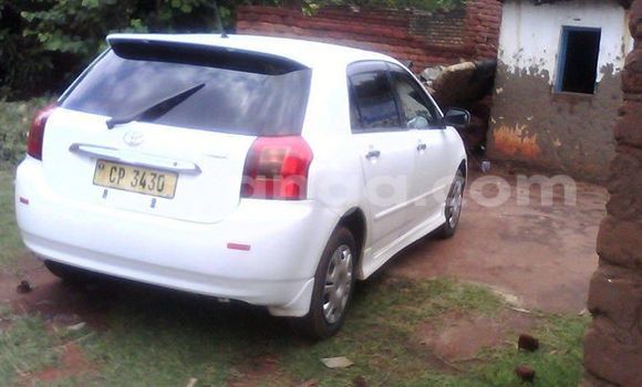 Acheter Occasion Voiture Toyota Allex Blanc à Limbe, Malawi Acheter Occasion Voiture Toyota Allex Blanc à Limbe, Malawi