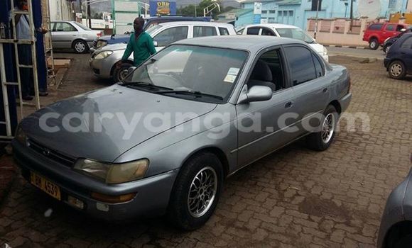 Buy Used Toyota Corolla Other Car in Limbe in Malawi Buy Used Toyota Corolla Other Car in Limbe in Malawi