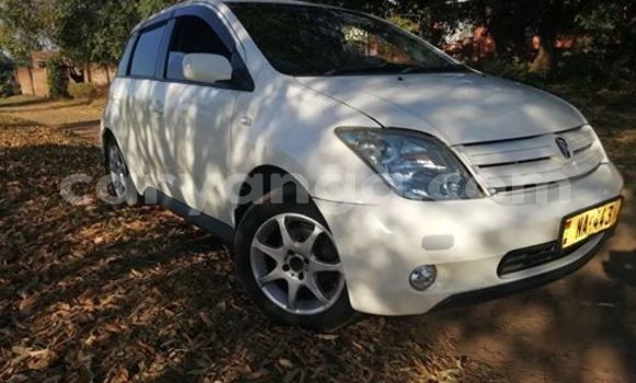 Buy Used Toyota IST White Car in Blantyre in Malawi Buy Used Toyota IST White Car in Blantyre in Malawi