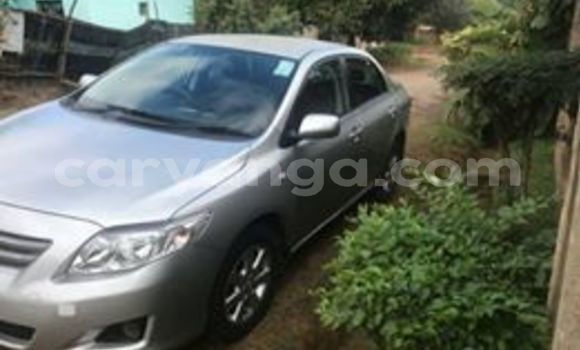 Buy Used Toyota Corolla Silver Car in Blantyre in Malawi Buy Used Toyota Corolla Silver Car in Blantyre in Malawi