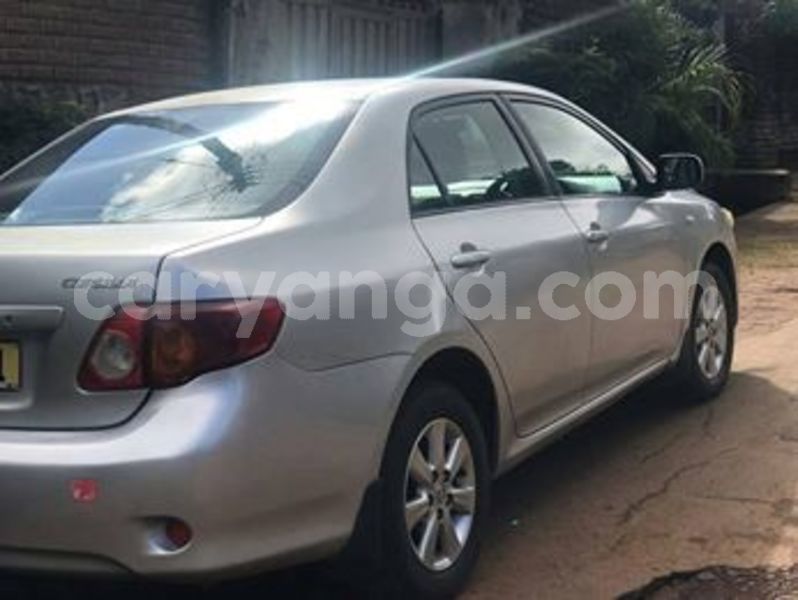 Big with watermark 66391172 138773693989108 9020445024076169216 n